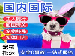 两江机场物流国际宠物托运 【国